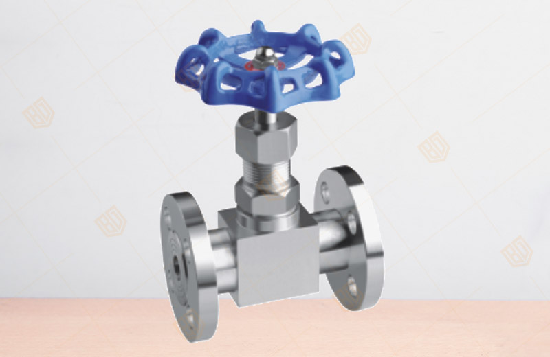 Flange Needle Globe Valve