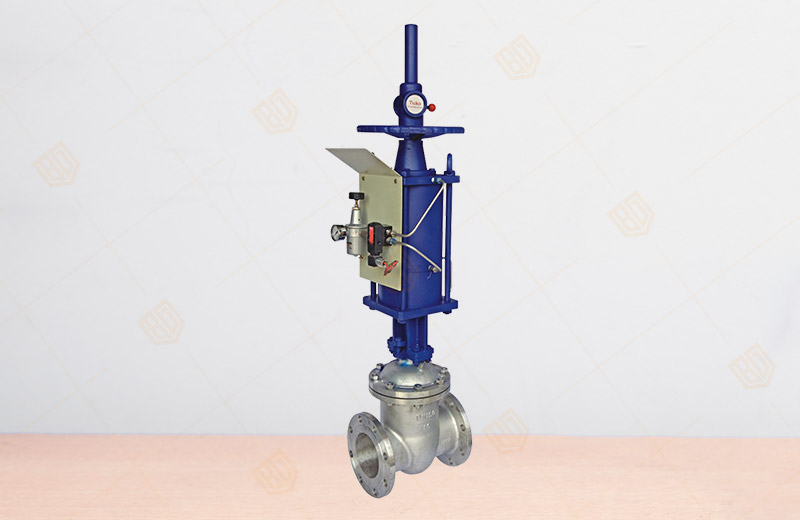 Pneumatic Gate Valve