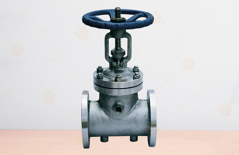 Insulated Jacket Gate Valve