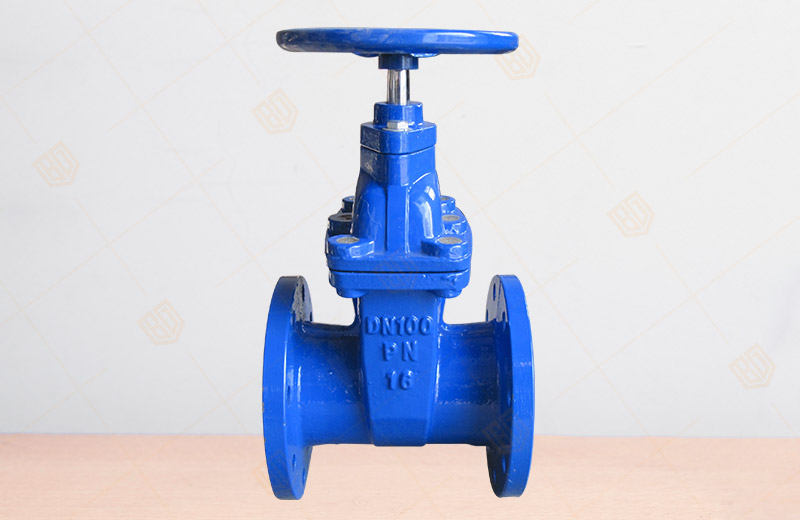 Dark Stem Soft Seal Gate Valve