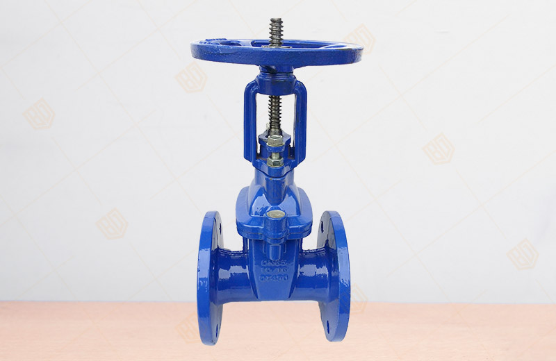 Rising Stem Soft Seal Gate Valve