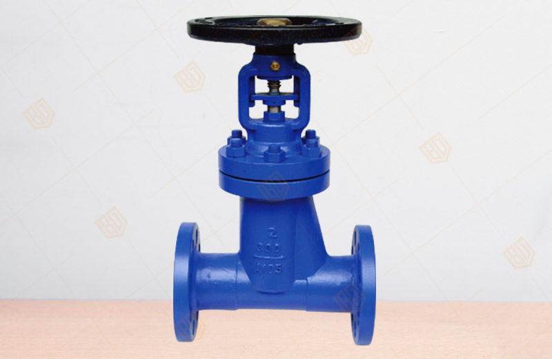 API (A105) Bellows Globe Valve