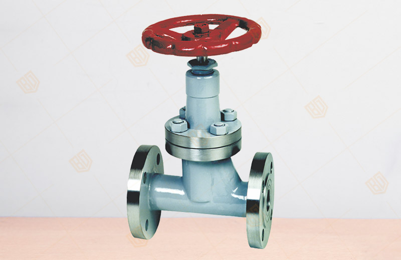 LPG Globe Valve