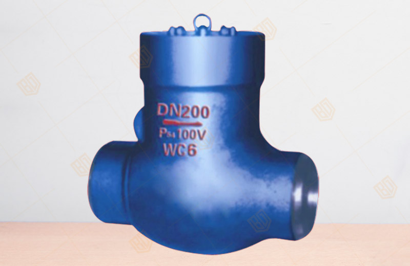 Power Station Check Valve