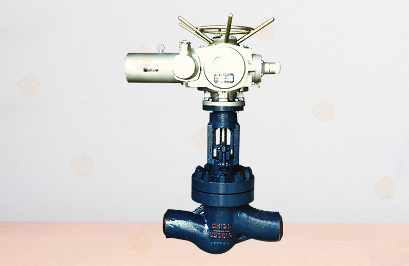 Electric Power Station High Temp.& Pressure Globe Valve