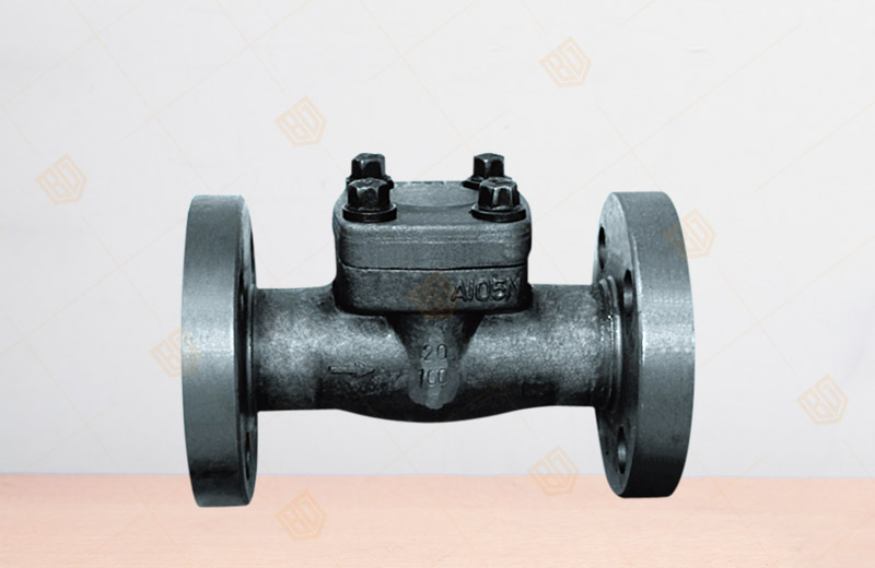 API Forged Steel Flange Check Valve