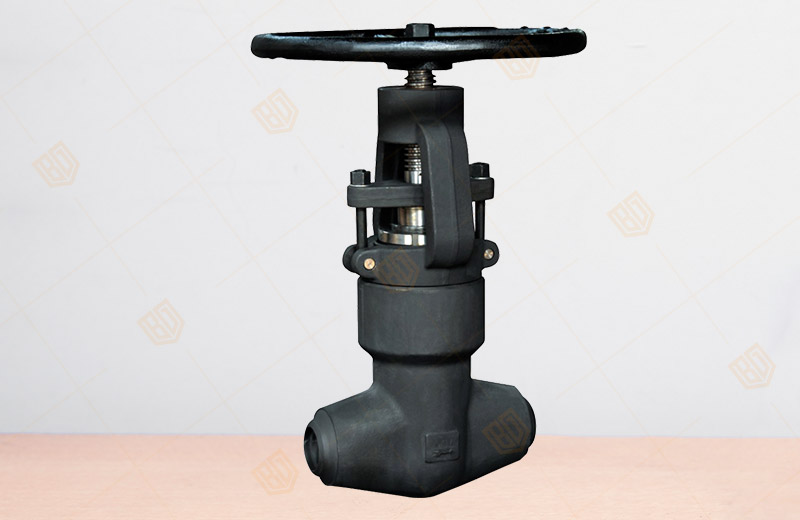 Self-sealing 2500Lb Globe Valve