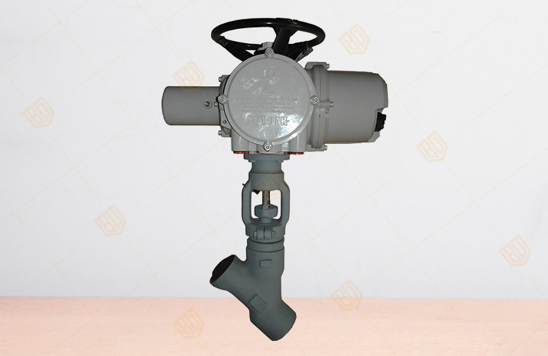 Pound Y-type Globe Valve