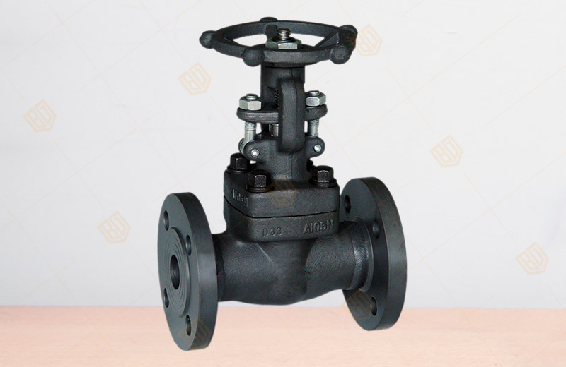 API Forged Steel Flange Gate Valve