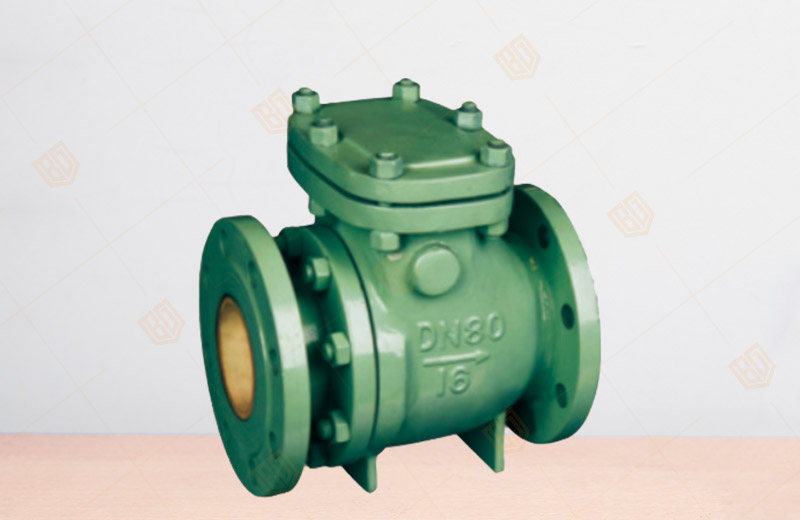 Ceramic Swing Check Valve