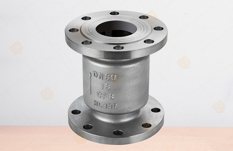 Stainless Steel Vertical Check Valve