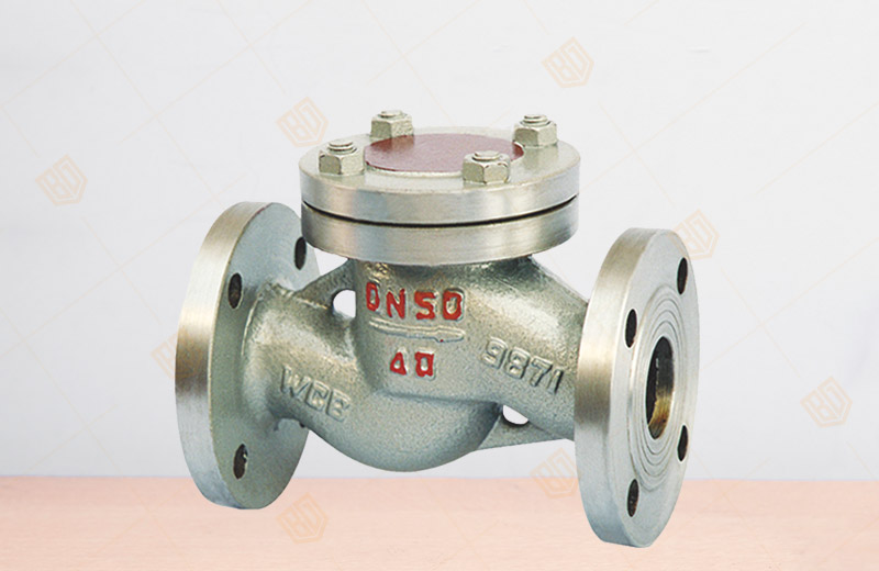 LPG Check Valve