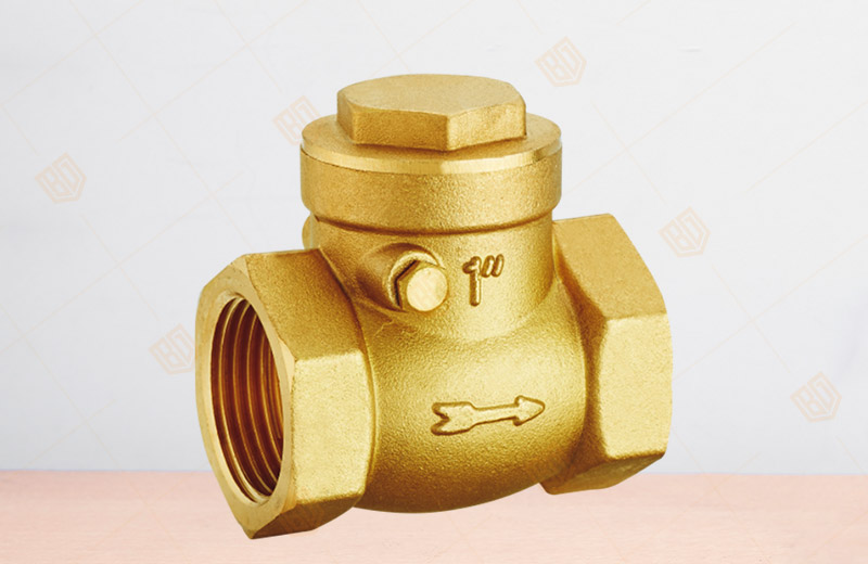 Horizontal Check Valve